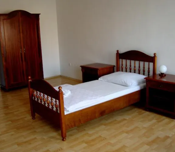 招待所 阿维亚蒂克旅馆 Čáslav